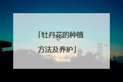 牡丹花的种植方法及养护