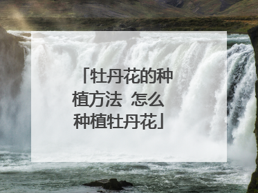 牡丹花的种植方法 怎么种植牡丹花
