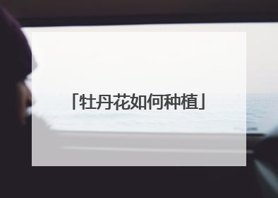 牡丹花如何种植