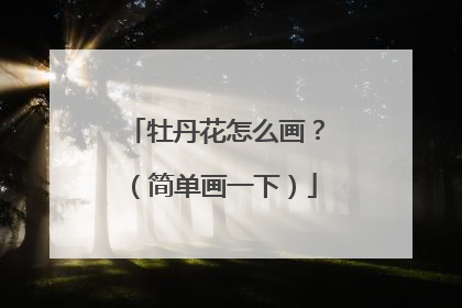牡丹花怎么画？（简单画一下）