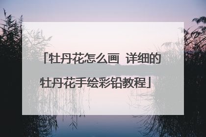 牡丹花怎么画 详细的牡丹花手绘彩铅教程