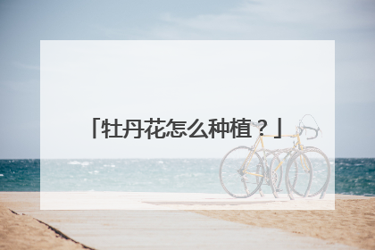 牡丹花怎么种植?