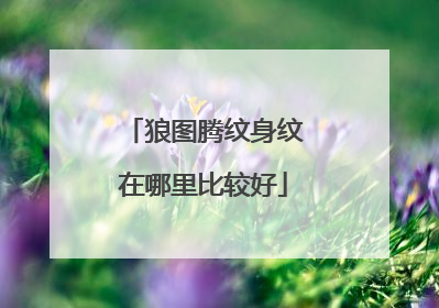 狼图腾纹身纹在哪里比较好