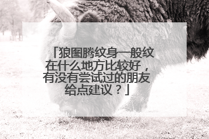 狼图腾纹身一般纹在什么地方比较好，有没有尝试过的朋友给点建议？