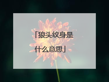 狼头纹身是什么意思