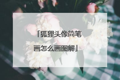 狐狸头像简笔画怎么画图解