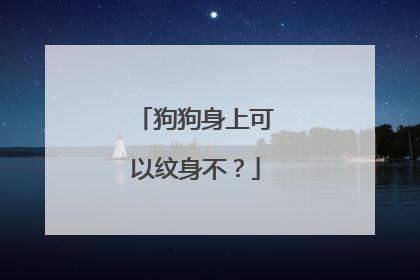 狗狗身上可以纹身不？
