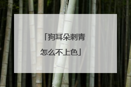 狗耳朵刺青怎么不上色