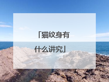 猫纹身有什么讲究