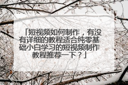 短视频如何制作，有没有详细的教程适合纯零基础小白学习的短视频制作教程推荐一下？