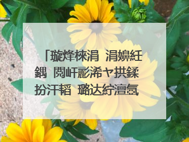 璇烽棶涓�涓嬶紝鍝�閲屽彲浠ヤ拱鍒扮汗韬�璐达紵澶氬皯閽卞彲浠ヤ拱寰楀埌鍛�锛�