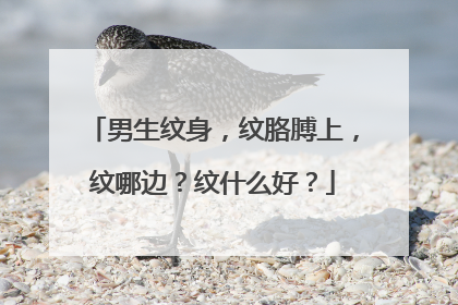 男生纹身，纹胳膊上，纹哪边？纹什么好？