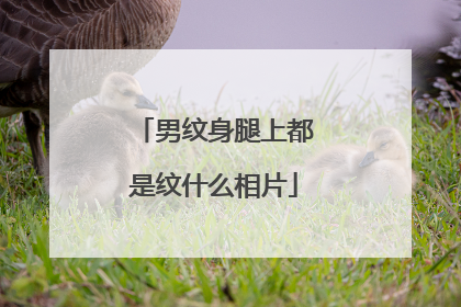 男纹身腿上都是纹什么相片