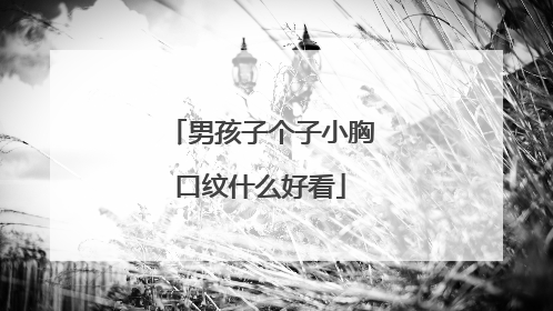 男孩子个子小胸口纹什么好看