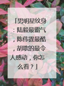 男明星纹身：陆毅最霸气，陈伟霆最酷，胡歌的最令人感动，你怎么看？