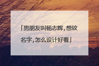 男朋友叫杨志辉,想纹名字,怎么设计好看