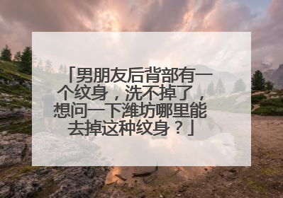 男朋友后背部有一个纹身，洗不掉了，想问一下潍坊哪里能去掉这种纹身？