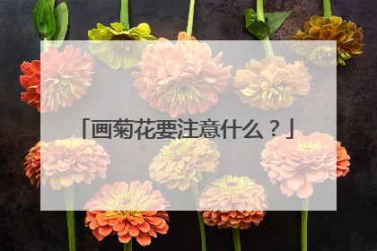 画菊花要注意什么？