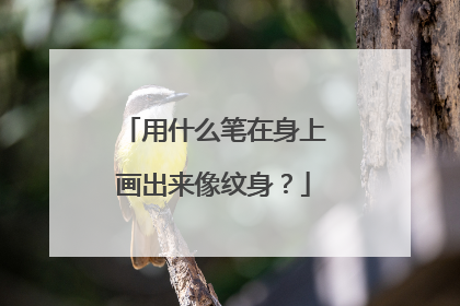用什么笔在身上画出来像纹身？