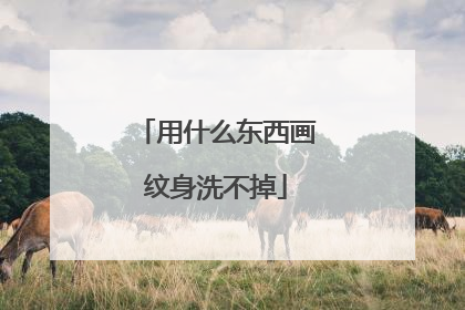 用什么东西画纹身洗不掉