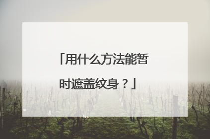 用什么方法能暂时遮盖纹身?