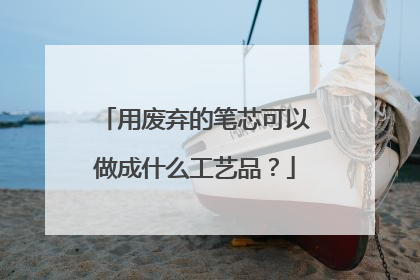 用废弃的笔芯可以做成什么工艺品？