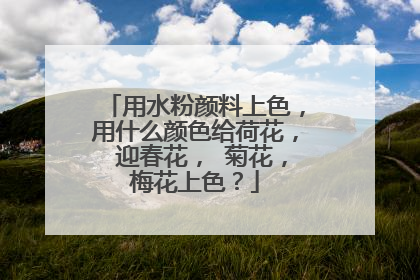 用水粉颜料上色，用什么颜色给荷花， 迎春花， 菊花，梅花上色？