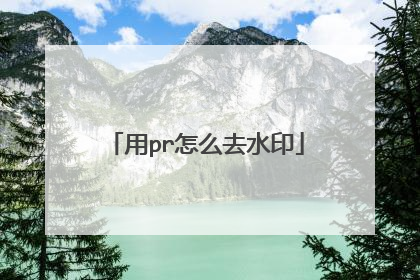 用pr怎么去水印