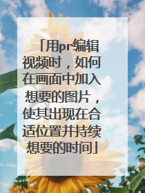 用pr编辑视频时，如何在画面中加入想要的图片，使其出现在合适位置并持续想要的时间