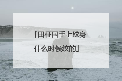田柾国手上纹身什么时候纹的