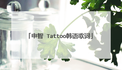申智 Tattoo韩语歌词