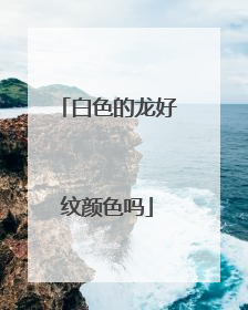 白色的龙好纹颜色吗