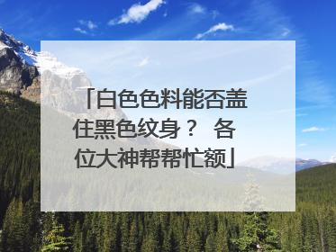 白色色料能否盖住黑色纹身？ 各位大神帮帮忙额