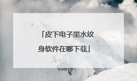 皮下电子墨水纹身软件在哪下载