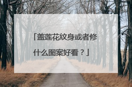 盖莲花纹身或者修什么图案好看？