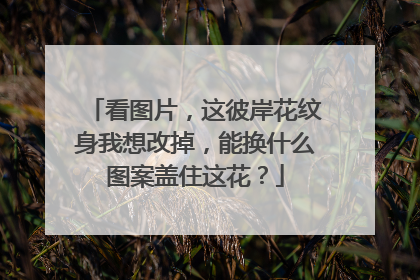 看图片,这彼岸花纹身我想改掉,能换什么图案盖住这花?