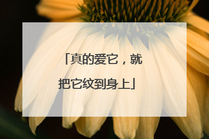 真的爱它，就把它纹到身上