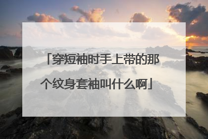 穿短袖时手上带的那个纹身套袖叫什么啊