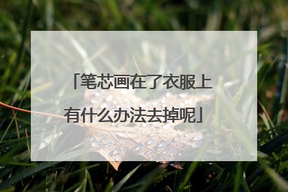 笔芯画在了衣服上有什么办法去掉呢
