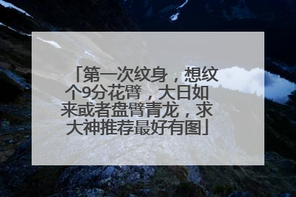 第一次纹身,想纹个9分花臂,大日如来或者盘臂青龙,求大神推荐最好有图