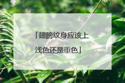 翅膀纹身应该上浅色还是重色