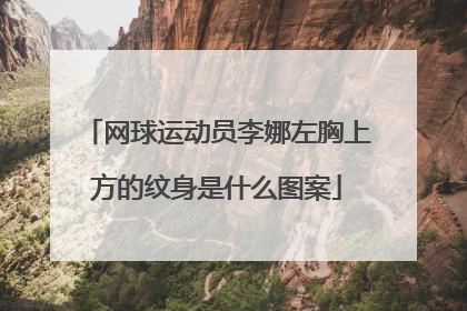 网球运动员李娜左胸上方的纹身是什么图案