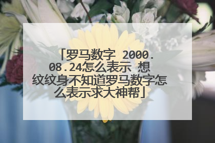 罗马数字 2000.08.24怎么表示 想纹纹身不知道罗马数字怎么表示求大神帮