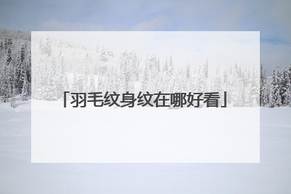 羽毛纹身纹在哪好看