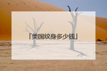 美国纹身多少钱