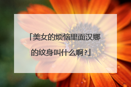 美女的烦恼里面汉娜的纹身叫什么啊?