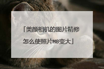 美颜相机的图片精修怎么使照片MB变大
