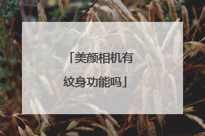 美颜相机有纹身功能吗