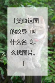 类似这图的纹身 叫什么名 怎么找图片。