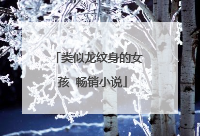 类似龙纹身的女孩 畅销小说